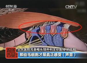 QQ截图20161227124309.jpg
