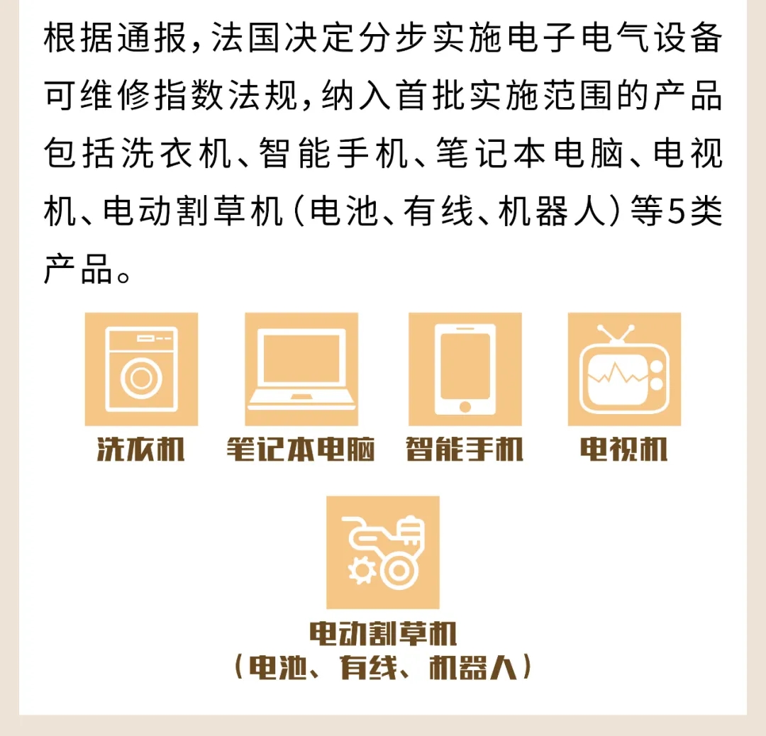 3.webp.jpg
