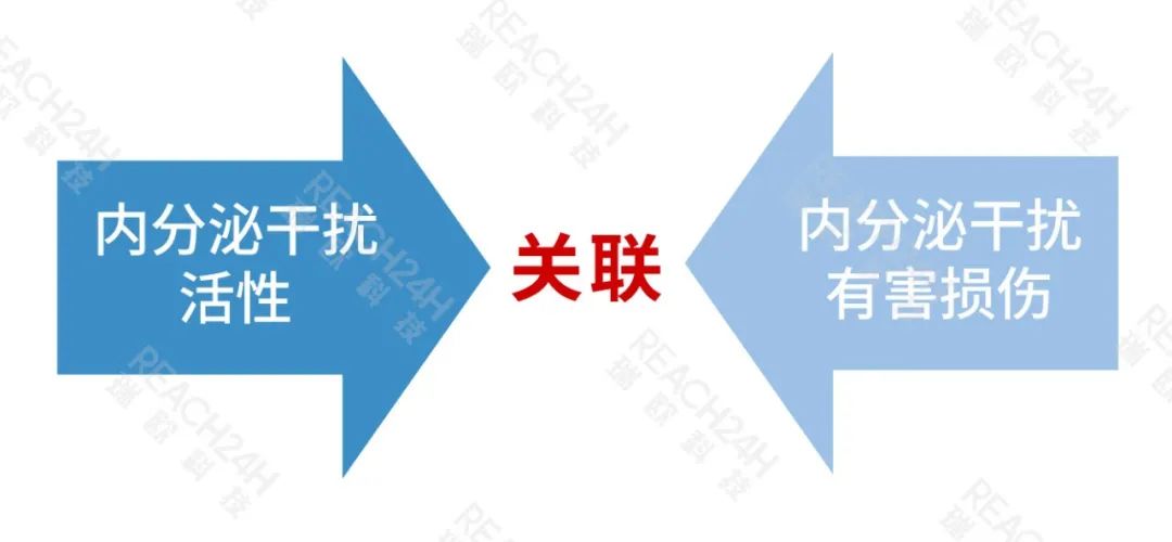 1瑞欧.jpeg